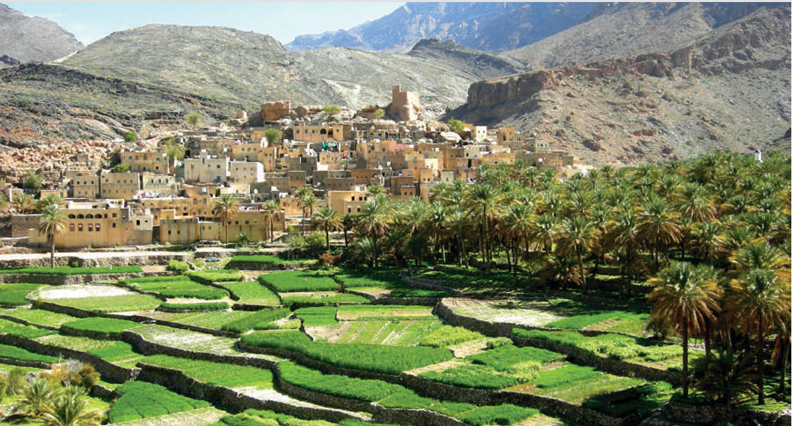 Oman landscape 3
